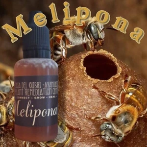 Full Strength Melipona Honey Eye Drops ~Melipona beecheii 30ml. Wild Harvest!! - Picture 1 of 3