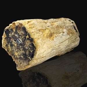 2475G Rare Natural Opalized Petrified Wood Natrolite Cluster  Rough Specimen - Picture 1 of 16