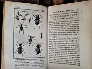 1804 BUFFON - NATURAL HISTORY OF CRUSTACEANS AND INSECTS With Engravings - Picture 1 of 24