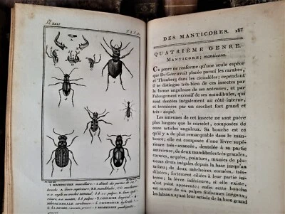 1804 BUFFON - NATURAL HISTORY OF CRUSTACEANS AND INSECTS With Engravings - Image 1 of 4