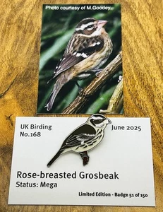 Rose-breasted Grosbeak - Pin Design 168 - UK Birding Series - Enamel Pin Badge - Picture 1 of 2