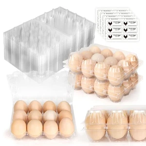 100 Stück Kunststoff Eierkartons Günstig Großpackung 12 Stück Klar Leere Eierkartons 3 *... - Bild 1 von 8