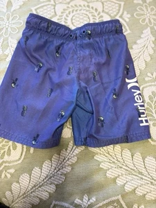 Hurley Boys 4 Blue Pineapple Toucan Surf Board Shorts Beach Swim Trunks - Picture 1 of 4