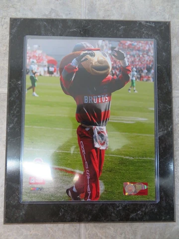BRUTUS OSU MASCOT OHIO STATE BUCKEYES (8"x10") PICTURE, Plaque (10.5"x13") Cover