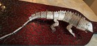 Emilia Castillo Taxco Mexico Silver ARTICULATED Lizard Bottle Opener BAR 70