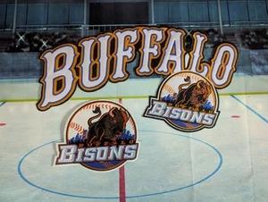 AAA Baseball Buffalo Bisons Embroidered Iron-On Jersey Crest, Patch Set. NY Mets - Picture 1 of 5