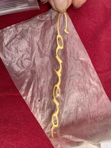 PORSCHE 356 CARRERA EMBLEMA ORIGINAL 64455932500 644 559 325 00 - Imagen 1 de 2