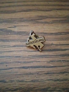 GIllette WYOMING (PLASTIC) PIN - Picture 1 of 3