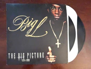 Big L: The Big Picture 2000 x2 LP Rawkus Records RWK-1178 Vinyl LP Record - Picture 1 of 17