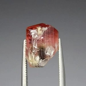 8.7ct Red Green Watermelon Tourmaline Natural Unheated Terminated Spar Collector - Picture 1 of 7