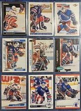 Mike Richter R.C. New York Rangers Assorted Years, Brands Hockey Card Lot (9) NM