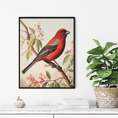 Pôster vintage com estampa de arte de parede Finch Bird - Imagem 1 de 4