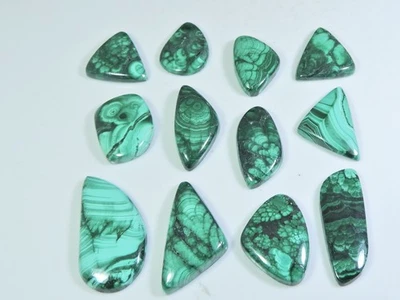 251Cts. Lote de 12 piezas de piedras preciosas cabujón de lujo tamaño anillo malaquita verde natural Foto 1 de 4