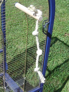 pipano Sitzstange mit Sisal 15 cm, Ø 30 mm für Vogelkäfig, klein Papagei, HSS308 - Bild 1 von 1