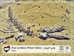 AK Ägypten Wadi Al-Hitan (Waltal) Fossil Reste Unesco WHS Standort NEUWERTIG - Bild 1 von 2