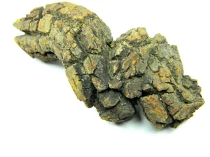 Coprolito de un fósil de tortuga gigante antiguo Madagascar 47,85 gramos - Imagen 1 de 5