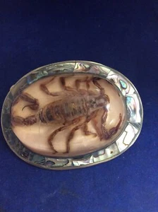 Hand Made real Scorpion And Abalone Silver Belt Buckle - Picture 1 of 2