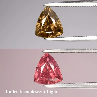 💎 1,45 ct 7x6,2 mm trilhão granada mudança de cor natural - não aquecida, gema da Tanzânia - Imagem 1 de 4
