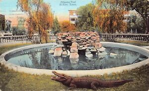 El Paso TX Texas Alligator Pool San Jacinto Plaza Downtown Vtg Postcard C32