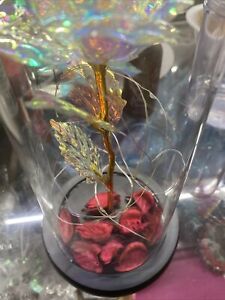 Enchanted Forever Rose Flower In Glass Dome LED Light Decor Valentine's Day Gift