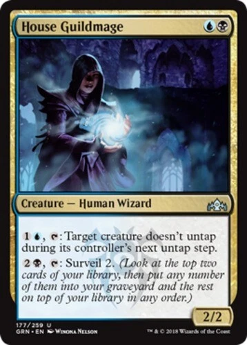 x1 House Guildmage - Guilds of Ravnica - NM - MTG - Image 1 of 1