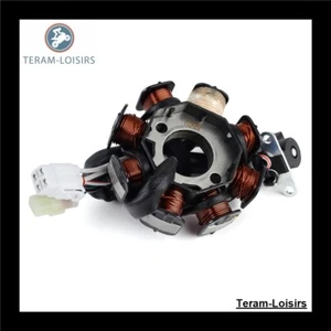 Stator Allumage pour Yamaha YFM 90 R RAPTOR de 2009 2010 2011 2012 2013 - Photo 1/8