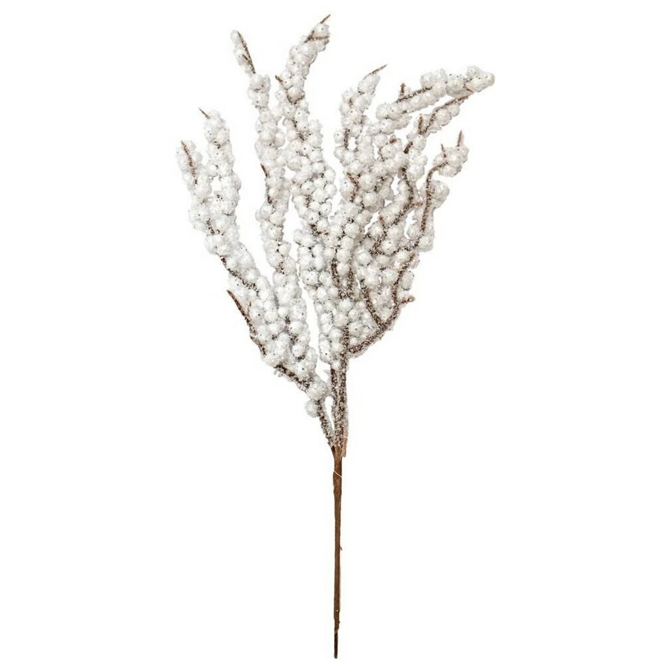 Mirto Bianco - Immagine 1 di 1