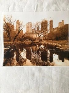 NEW YORK  CENTRAL PARK   Photo Art Print 8x10  inch reproduction  - Picture 1 of 3