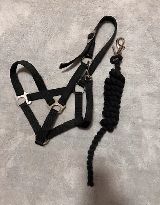Showmaster Halfter schwarz und Twist-Strick GR. COB - Bild 1 von 3