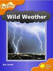 Oxford Reading Tree Stage 6 Fireflies Wild Weather By Smith Ben 0199197741