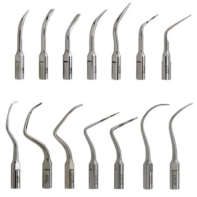 Fits Satelec Acteon Newtron Tips Dental Ultrasonic Piezo Scaler Scaling Perio H3 - Image 1 of 4