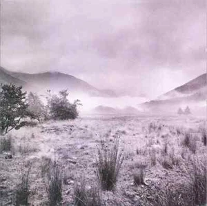 CD Apes, Pigs And Spacemen Snapshot Music for Nations - Bild 1 von 1