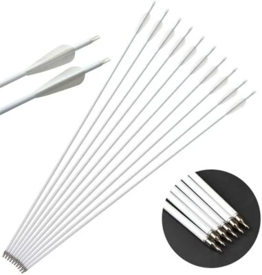 30" Archery Carbon Arrows SP500 Arrowhead Recurve Compound Bow Hunting Shooting - Image 1 of 4