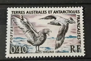 TAAF Timbre N° 13 Skuas/ NEUF** / 1959-63 - Imagen 1 de 1