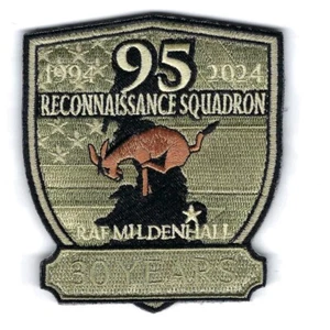 95th RECON 30 YEARS 1994-2024 patch - Picture 1 of 1