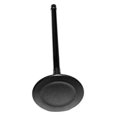 For Hyundai Elantra GT 2013-2016 DNJ Engine Components IV193 Intake Valve Foto 1 de 2