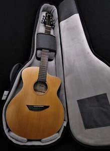 Ibanez PA230E NSL  Platinum Collection. Acoustic Electric Solid Cedar Top - Picture 1 of 14