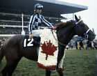 1973 Eddie Maple SECRETARIAT Canadian International Horse Racing 8x10 Photo