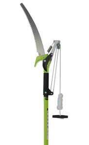 Tree Branch Loppers Best Price