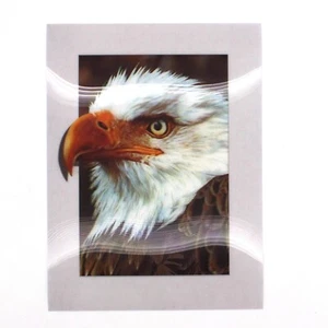 Eagle 3D Lenticular Poster 12 x 16 Inches Rigid Print - Picture 1 of 1