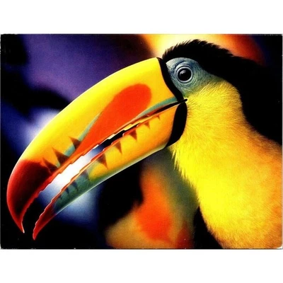 Leanin Tree Greeting Card Congratulations "Keel Billed Toucan" by Carl-W Rohrig - Image 1 of 3