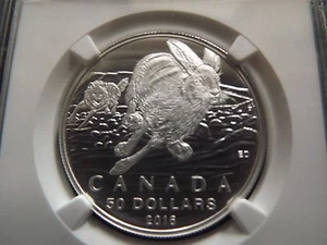 2016 $50 "HARE" CANADA NGC PF70 PROOF COIN FIRST RELEASES LOW POPULATION - Picture 1 of 3