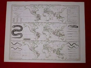 1815 ~ WORLD CHART OF SNAKES / GERMAN / 14 X 18" - Picture 1 of 10