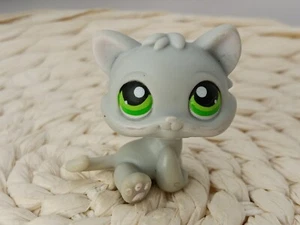 petshop authentic LPS Chat Chaton Kitty Cat Kitten Rare #88 original hasbro - Imagen 1 de 3