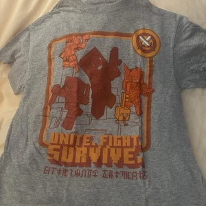 Minecraft Dungeons Gray T-Shirt Youth Size Large 10/12 - Picture 1 of 3