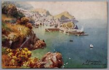 Ilfracombe from Hillsborough Devon England Tuck's Postcard Postmark 1907