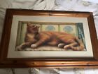 ‘Hamlet The Ginger Cat’ Framed Print - By Sheila Tilmouth Collection Only