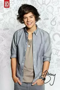 One Direction : Harry Icons - Maxi Poster 61cm x 91.5cm new and sealed - Picture 1 of 1