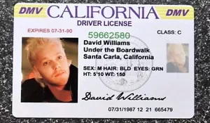 THE LOST BOYS DAVID WILLIAMS NOVELTY LICENSE MADE ON METAL - Picture 1 of 2