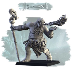Ogro Chamán Respiración de Fuego, DnD Juegos de Guerra RPG Fantasía Ogro Guerrero Miniatura - Imagen 1 de 1